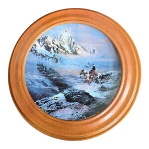 Julie Kramer Cole Faces of‎ Nature Wambli Okiye 1993 Collector Plate & Frame EUC
